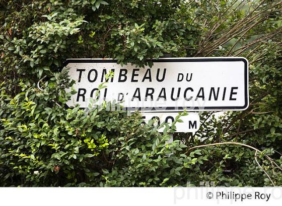 ROI D' ARAUCANIE, TOURTOIRAC, VALLEE DE L' AUVEZERE, PERIGORD NOIR, DORDOGNE. (24F01526.jpg)