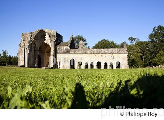 ABBAYE DE BOSCHAUD, VILLARS,  PERIGORD VERT, DORDOGNE, FRANCE. (24F01539.jpg)