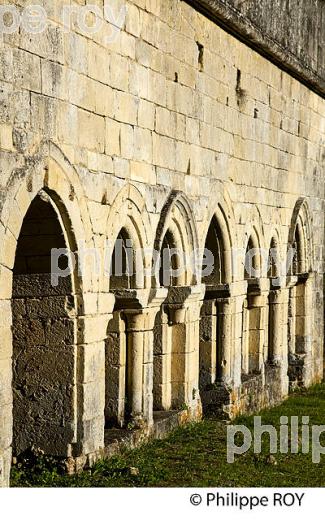 ABBAYE DE BOSCHAUD, VILLARS,  PERIGORD VERT, DORDOGNE, FRANCE. (24F01607.jpg)