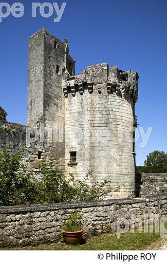 CHATEAU DE MAREUIL, PERIGORD VERT, DORDOGNE, FRANCE. (24F01839.jpg)