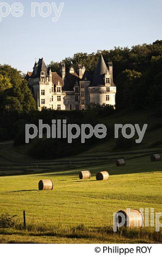 CHATEAU DE PUYGUILHEM,  VILLARS, PERIGORD VERT, DORDOGNE, FRANCE. (24F01932.jpg)