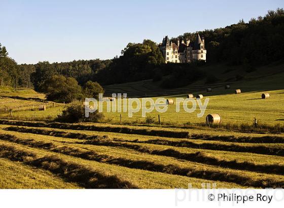 CHATEAU DE PUYGUILHEM,  VILLARS, PERIGORD VERT, DORDOGNE, FRANCE. (24F01937.jpg)