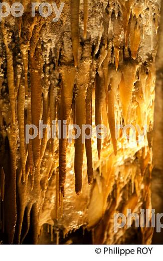 GROTTE DE VILLARS,  PERIGORD VERT, DORDOGNE, FRANCE (24F02114.jpg)