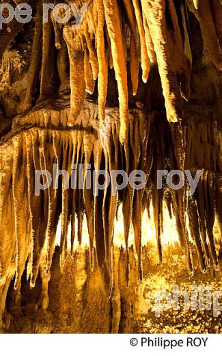 GROTTE DE VILLARS,  PERIGORD VERT, DORDOGNE, FRANCE (24F02121.jpg)