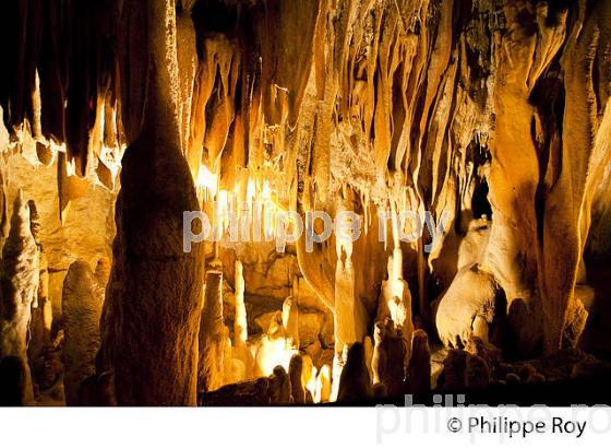 GROTTE DE VILLARS,  PERIGORD VERT, DORDOGNE, FRANCE (24F02127.jpg)