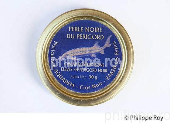 PRODUCTION DE CAVIAR, VALLEE DE LA VEZERE, PERIGORD NOIR, DORDOGNE, FRANCE (24F02708.jpg)