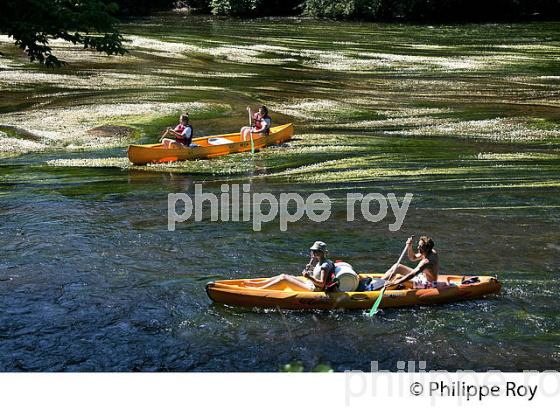 BALADE EN CANOE, VALLEE DE LA VEZERE, PERIGORD NOIR, DORDOGNE, FRANCE (24F02734.jpg)