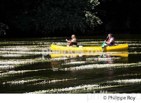 BALADE EN CANOE, VALLEE DE LA VEZERE, PERIGORD NOIR, DORDOGNE, FRANCE (24F02735.jpg)