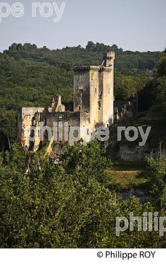 CHATEAU DE COMMARQUE, VALLEE DE LA VEZERE, PERIGORD NOIR, DORDOGNE, FRANCE (24F02813.jpg)