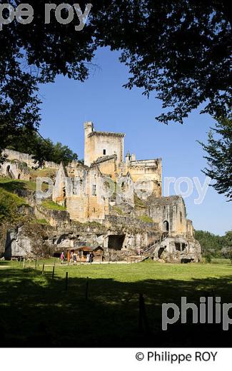 CHATEAU DE COMMARQUE, VALLEE DE LA VEZERE, PERIGORD NOIR, DORDOGNE, FRANCE (24F02814.jpg)