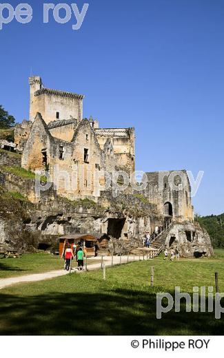 CHATEAU DE COMMARQUE, VALLEE DE LA VEZERE, PERIGORD NOIR, DORDOGNE, FRANCE (24F02815.jpg)