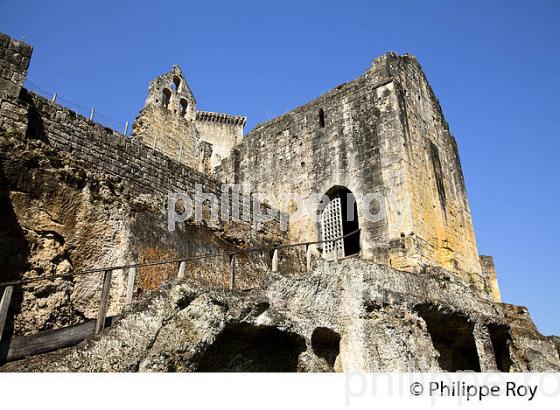 CHATEAU DE COMMARQUE, VALLEE DE LA VEZERE, PERIGORD NOIR, DORDOGNE, FRANCE (24F02829.jpg)