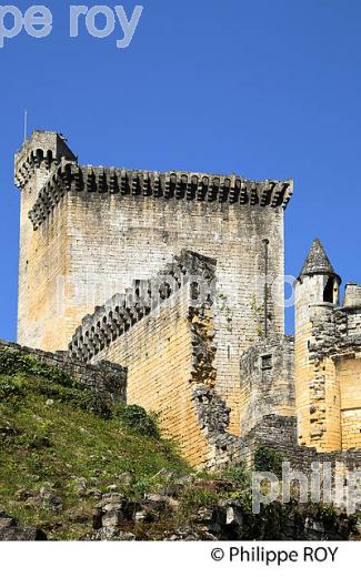 CHATEAU DE COMMARQUE, VALLEE DE LA VEZERE, PERIGORD NOIR, DORDOGNE, FRANCE (24F02837.jpg)