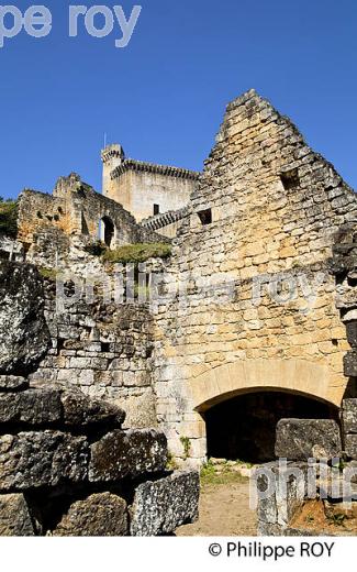 CHATEAU DE COMMARQUE, VALLEE DE LA VEZERE, PERIGORD NOIR, DORDOGNE, FRANCE (24F02838.jpg)