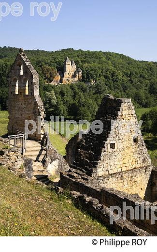 CHATEAU DE COMMARQUE, VALLEE DE LA VEZERE, PERIGORD NOIR, DORDOGNE, FRANCE (24F02925.jpg)