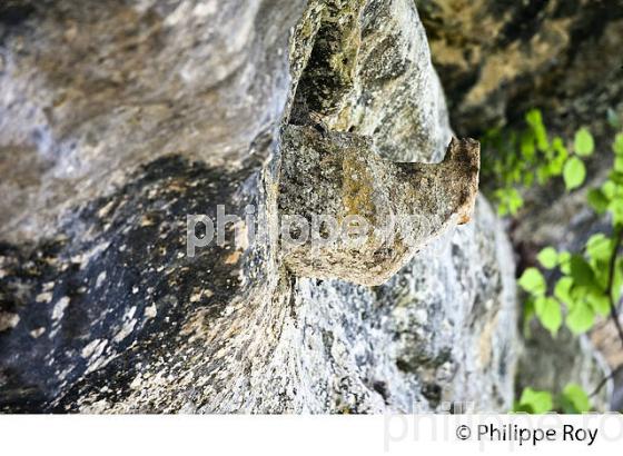 HABITAT TROGLODYTIQUE, ROQUE SAINT CHRISTOPHE, VALLEE DE LA VEZERE, PERIGORD NOIR. (24F03015.jpg)