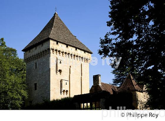 SAINT LEON SUR VEZERE, VALLEE DE LA VEZERE, PERIGORD NOIR, DORDOGNE, FRANCE (24F03114.jpg)