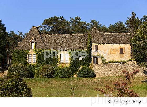 FANLAC, VALLEE DE LA VEZERE, PERIGORD NOIR, DORDOGNE, FRANCE (24F03304.jpg)