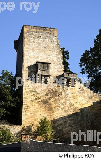 MONTIGNAC SUR VEZERE, VALLEE DE LA VEZERE, PERIGORD NOIR, DORDOGNE, FRANCE (24F03334.jpg)