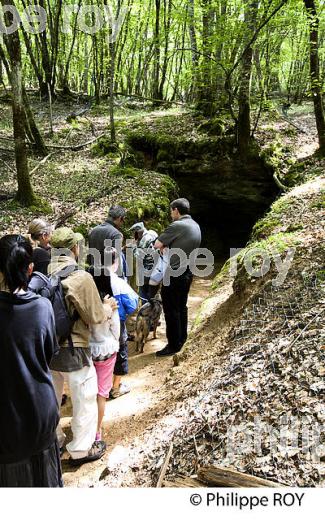 GROTTE DE BERNIFAL, LES EYZIES, PREHISTOIRE, PERIGORD NOIR, DORDOGNE (24F03512.jpg)