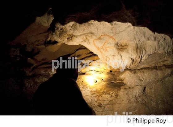 GROTTE DE BERNIFAL, LES EYZIES, PREHISTOIRE, PERIGORD NOIR, DORDOGNE (24F03520.jpg)