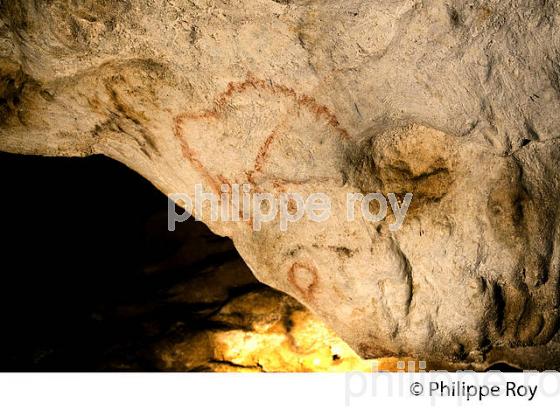 GROTTE DE BERNIFAL, LES EYZIES, PREHISTOIRE, PERIGORD NOIR, DORDOGNE (24F03523.jpg)