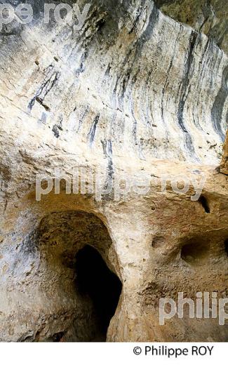 GROTTE DE FONT GAUME, LES EYZIES, PREHISTOIRE, VALLEE VEZERE, PERIGORD NOIR, DORDOGNE (24F03703.jpg)