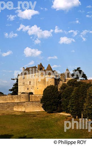 CHATEAU DE FENELON, PERIGORD NOIR, DORDOGNE, FRANCE (24F04012.jpg)