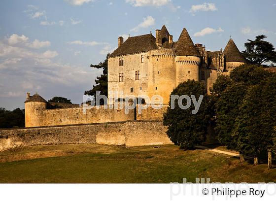 CHATEAU DE FENELON, PERIGORD NOIR, DORDOGNE, FRANCE (24F04014.jpg)