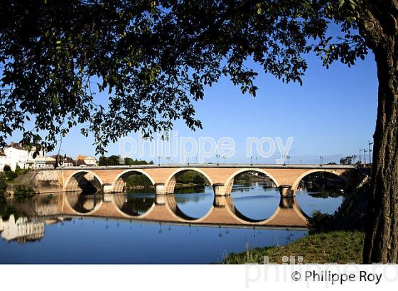 VIEUX PONT SUR LA DORDOGNE, BERGERAC, PERIGORD, DORDOGNE, FRANCE (24F04930.jpg)