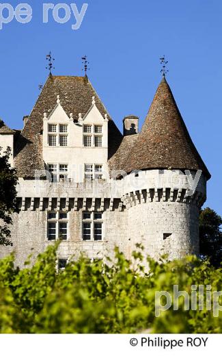 CHATEAU ET VIGNES DE MONBAZILLAC, VIGNOBLE DE BERGERAC, PERIGORD, DORDOGNE, FRANCE (24F05309.jpg)