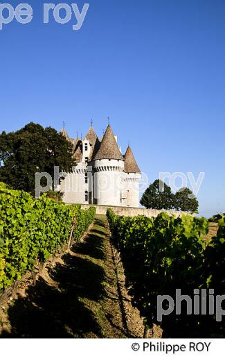 CHATEAU ET VIGNES DE MONBAZILLAC, VIGNOBLE DE BERGERAC, PERIGORD, DORDOGNE, FRANCE (24F05312.jpg)