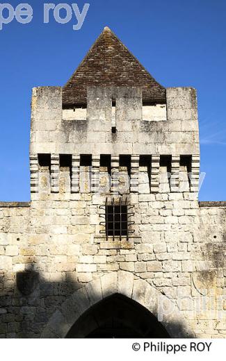 CHATEAU DE BRIDOIRE, RIBAGNAC, PERIGORD, DORDOGNE, FRANCE (24F05413.jpg)