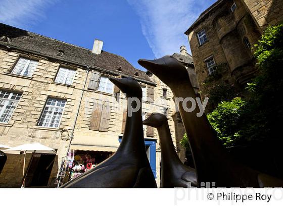 PLACE DU MARCHE AUX OIES, VIEUX SARLAT, PERIGORD, DORDOGNE, FRANCE (24F06218.jpg)