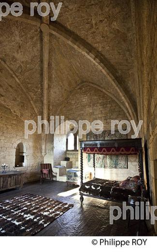 CHATEAU DE BEYNAC, PERIGORD NOIR , VALLEE DE LA  DORDOGNE. (24F06810.jpg)