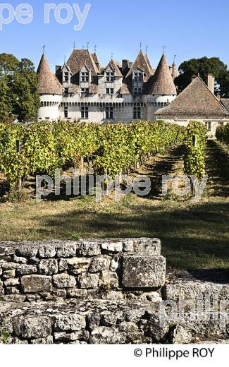 CHATEAU DE MONBAZILLAC,  VALLEE DE LA DORDOGNE, PERIGORD POURPRE. (24F07232.jpg)