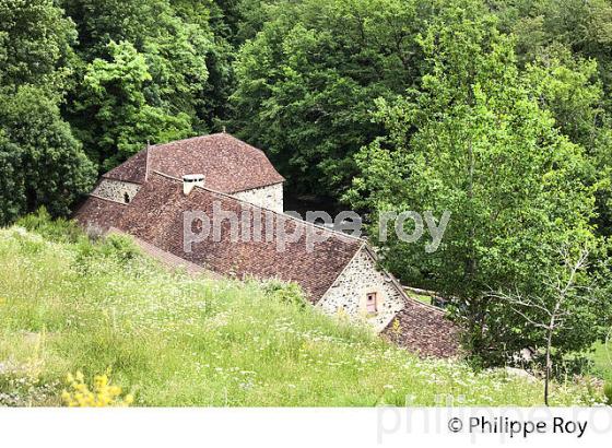 MOULIN DE SAVIGNAC,  GORGES  DE L' AUVEZERE,  PERIGORD VERT, DORDOGNE. (24F07538.jpg)