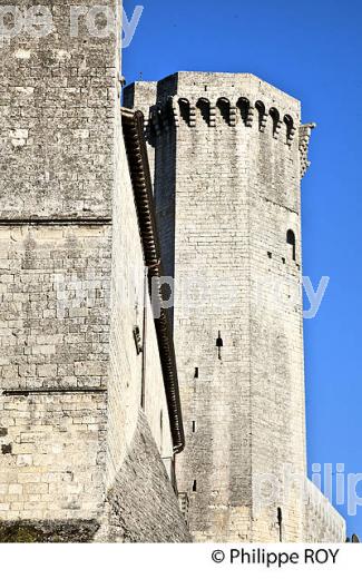 CHATEAU DE BOURDEILLES, VALLEE DE LA DRONNE PERIGORD VERT, DORDOGNE. (24F08127.jpg)
