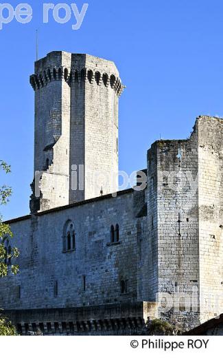 CHATEAU DE BOURDEILLES, VALLEE DE LA DRONNE PERIGORD VERT, DORDOGNE. (24F08128.jpg)