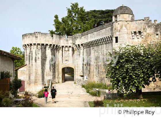 CHATEAU DE BOURDEILLES, VALLEE DE LA DRONNE PERIGORD VERT, DORDOGNE. (24F08132.jpg)