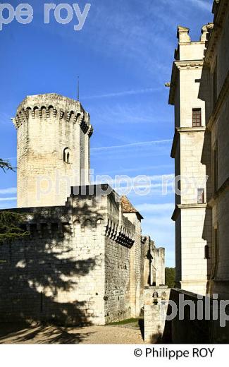 CHATEAU DE BOURDEILLES, VALLEE DE LA DRONNE PERIGORD VERT, DORDOGNE. (24F08135.jpg)