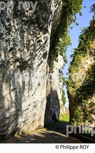 FALAISE DE LA  ROC SAINT CHRISTOPHE, SAINT LEON SUR VEZERE, VALLEE DE LA VEZERE, DORDOGNE. (24F10325.jpg)