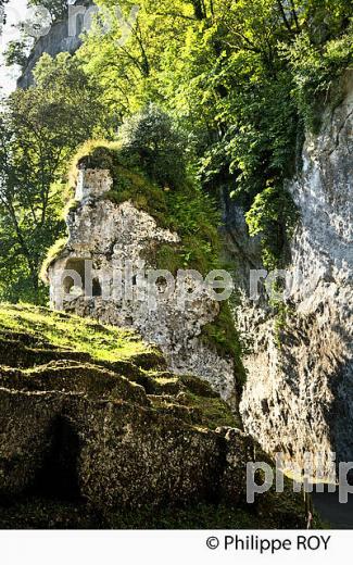 ABRI DANS LA  FALAISE  DE  LA  ROQUE SAINT CHRISTOPHE,  VALLEE DE LA VEZERE, DORDOGNE. (24F10326.jpg)