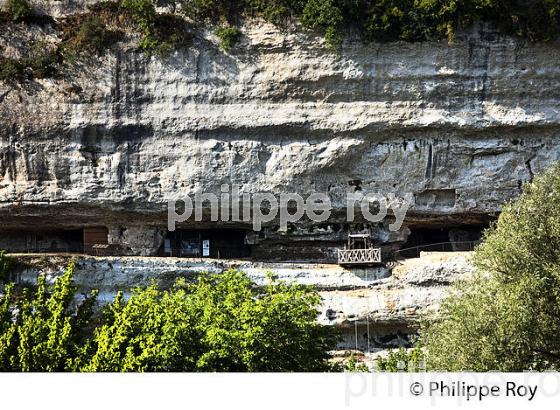 ABRI DANS LA  FALAISE  DE  LA  ROQUE SAINT CHRISTOPHE,  VALLEE DE LA VEZERE, DORDOGNE. (24F10333.jpg)