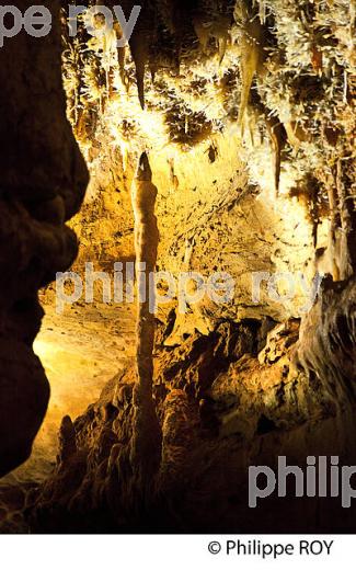 LES GROTTES DE MAXANGE, BUISSON DE CADOUIN , VALLEE DE LA DORDOGNE. (24F10733.jpg)
