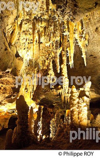 LES GROTTES DE MAXANGE, BUISSON DE CADOUIN , VALLEE DE LA DORDOGNE. (24F10735.jpg)