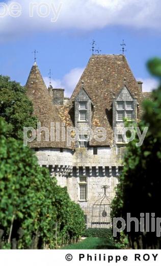 Le vignoble de Dordogne (24V00206.jpg)