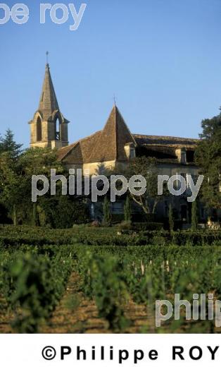Vignoble de Bergerac (24V00210.jpg)