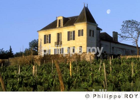 Le vignoble de Dordogne (24V00213.jpg)