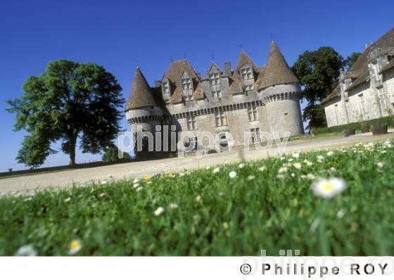 Le vignoble de Dordogne (24V00217.jpg)